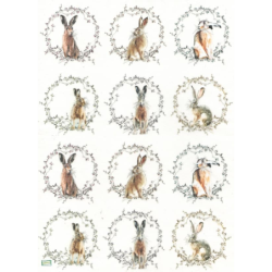 1papier riz Les lapins-R2016