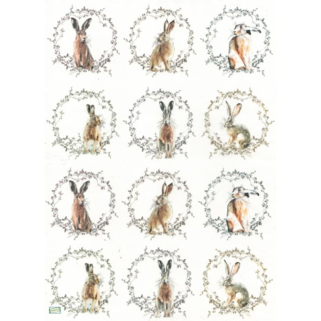 1papier riz Les lapins-R2016