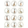 1papier riz Les lapins-R2016