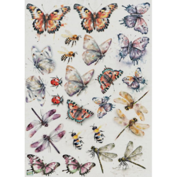 1 papier de riz Les insectes - R2258