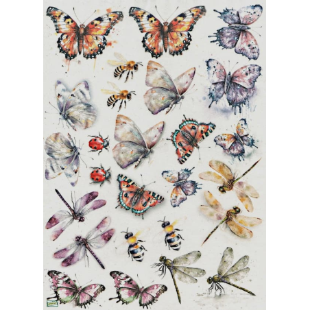 1 papier de riz Insectes - R2258