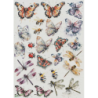 1 papier de riz Les insectes - R2258