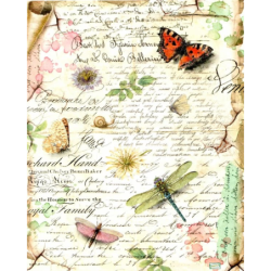 1papier riz Les papillons-STA4