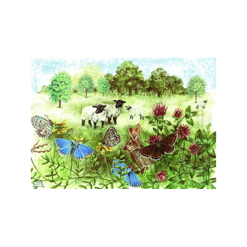 2papiers riz Animaux-ZA754R