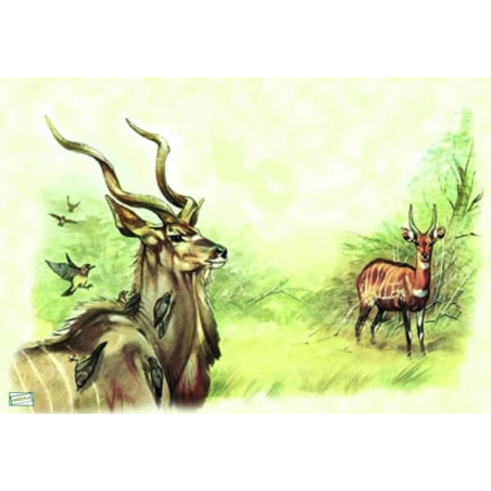 papier de riz Animaux-ZAN41G