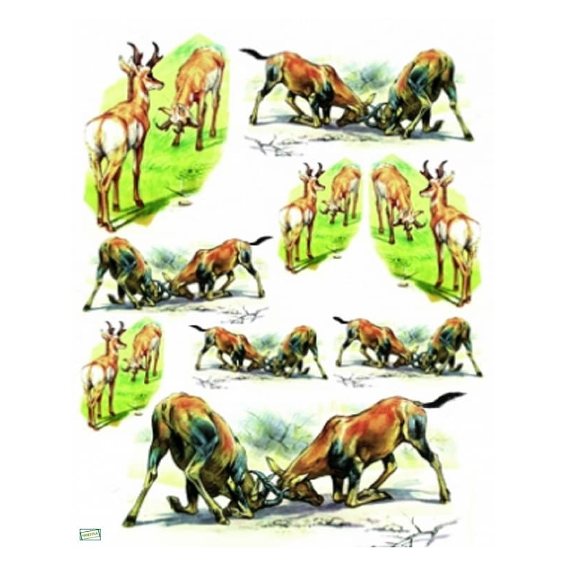 2papiers de riz Animaux -ZAN120G