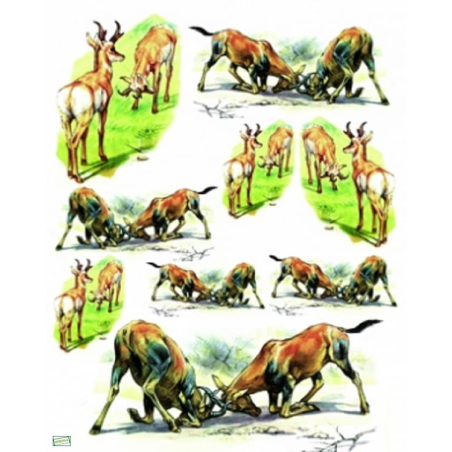 2papiers de riz Animaux -ZAN120G