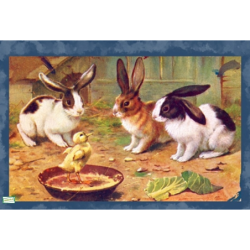 papier riz Lapins-ZAN332G