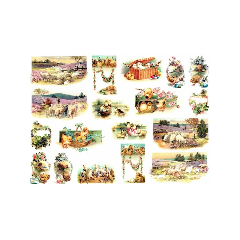 GRAND papier à découper Animaux-D641