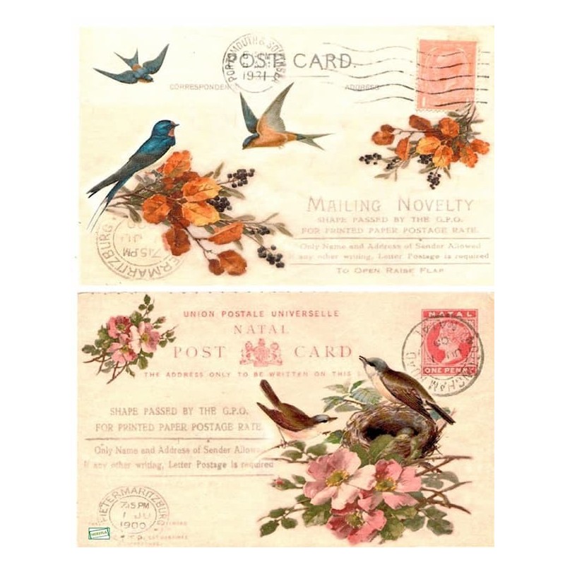 1papier de riz Oiseaux-AIST3