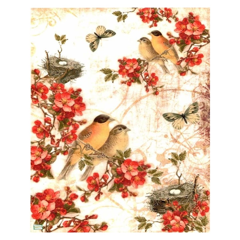 1papier de riz Oiseaux-AIST5