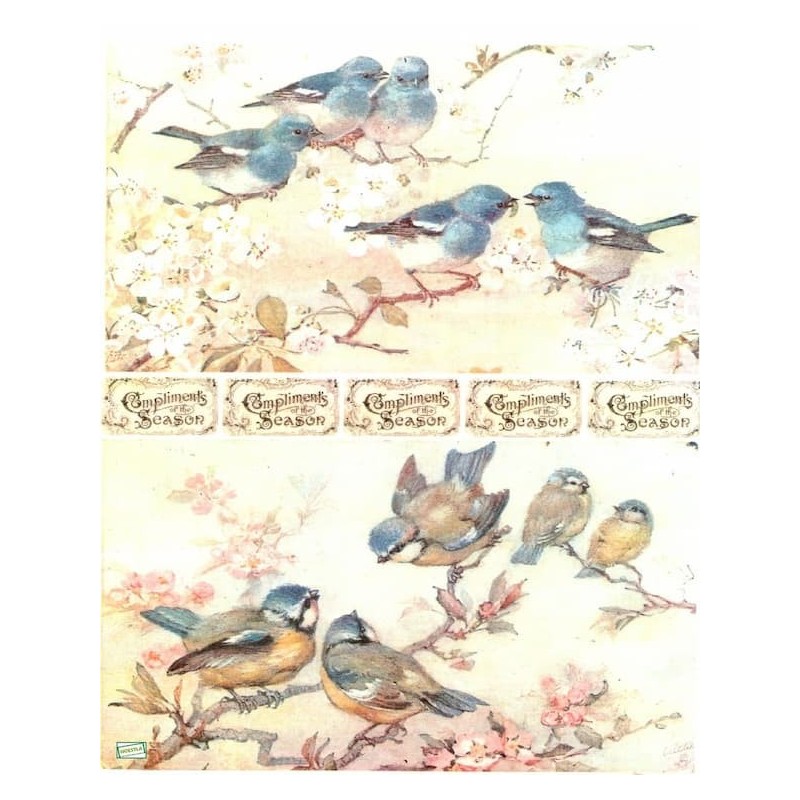 1papier de riz Oiseaux-BMET2