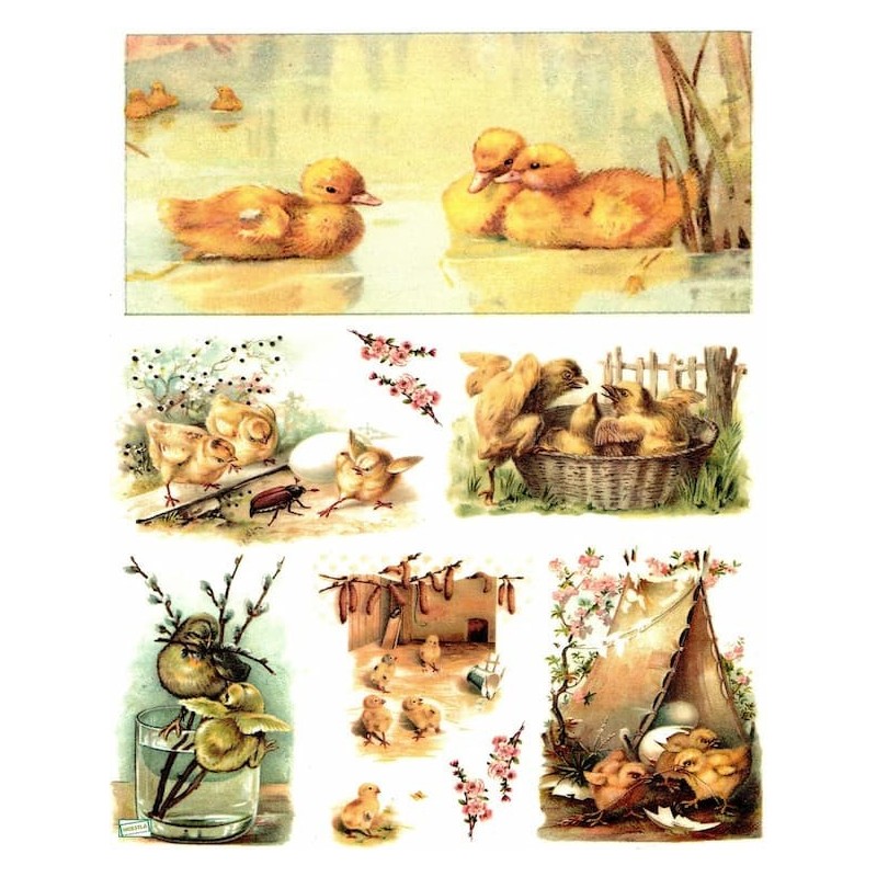 1papier de riz Poussins-R302