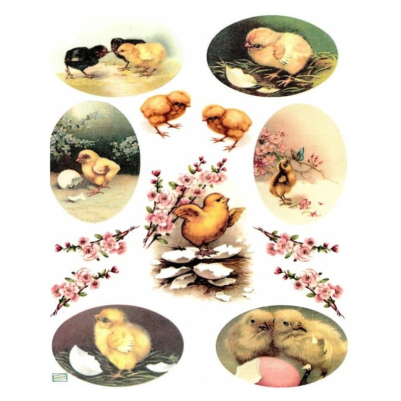 1papier de riz Poussins-R308