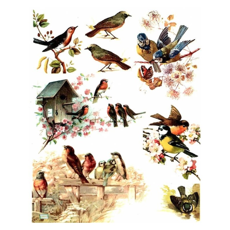 1papier de riz Oiseaux -R325