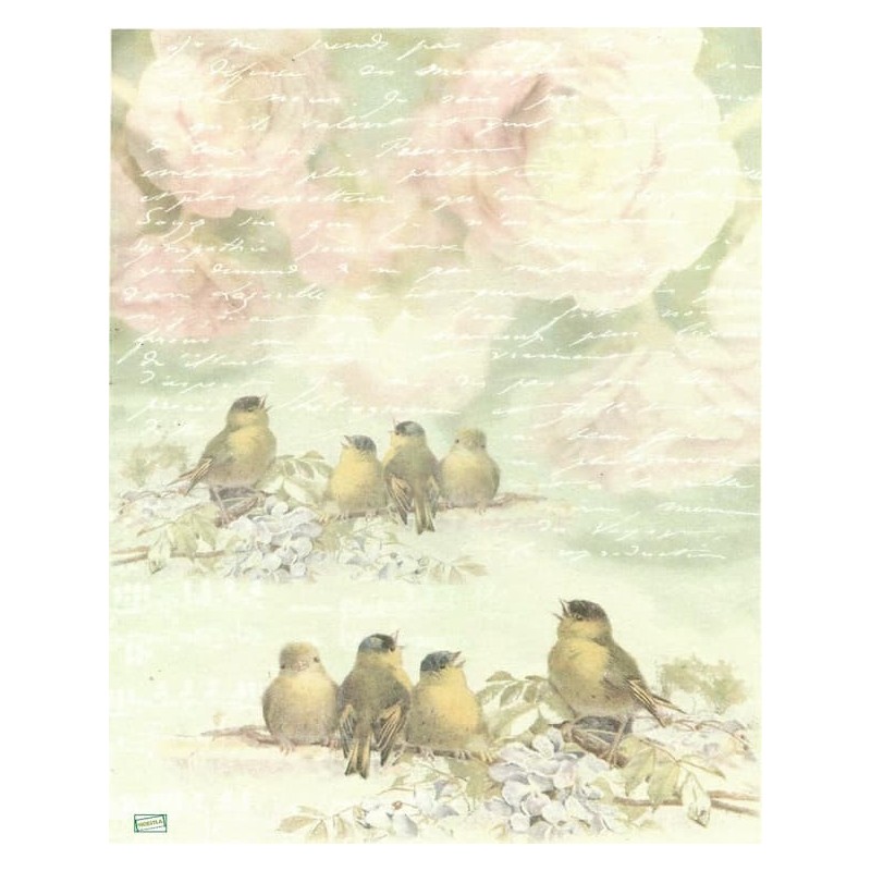 1papier de riz Oiseaux -R568