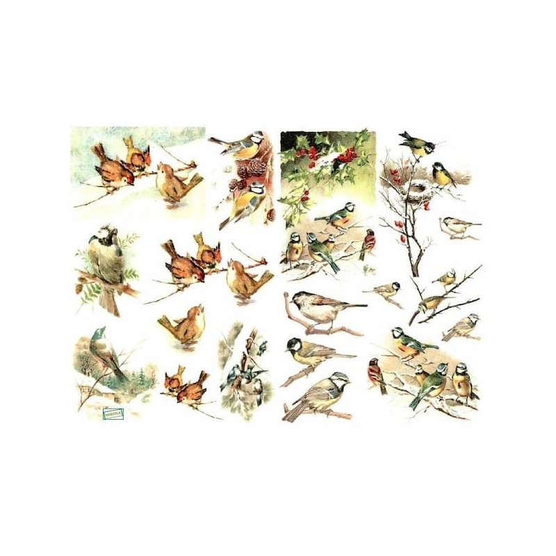 1papier de riz Oiseaux -R599
