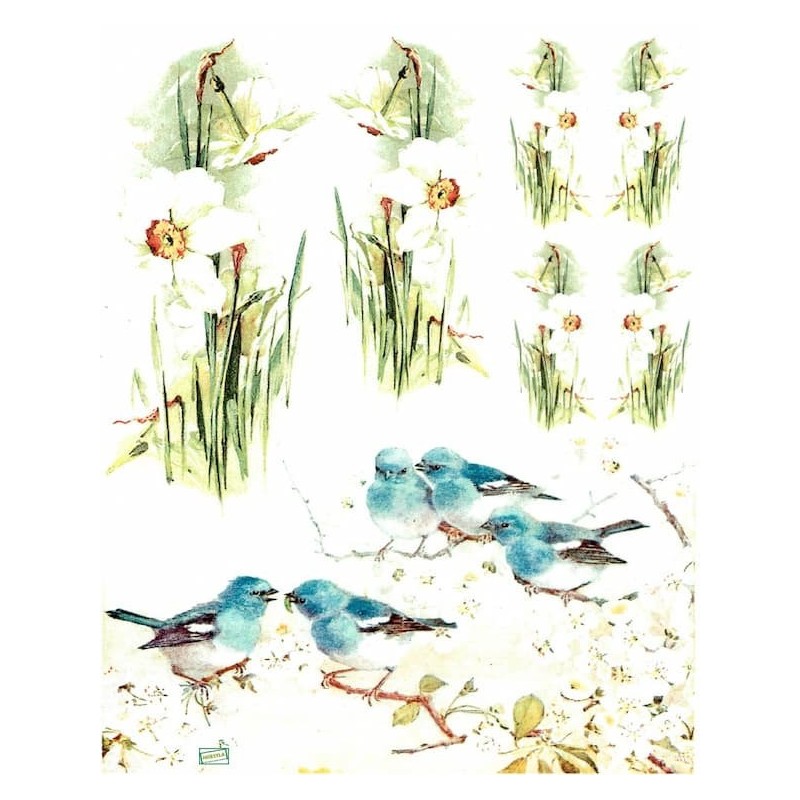 1papier de riz Oiseaux -R653