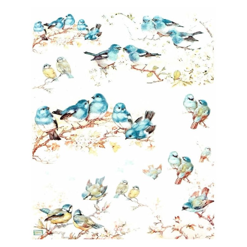 1papier de riz Oiseaux -R654
