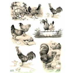 1papier de riz Poules -R667