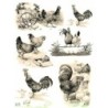 1papier de riz Poules -R667