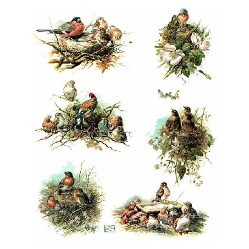 1papier de riz Oiseaux -R857