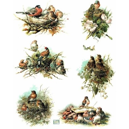 1papier de riz Oiseaux -R857