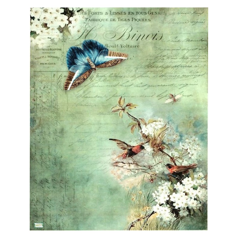 1papier de riz Oiseaux-R976