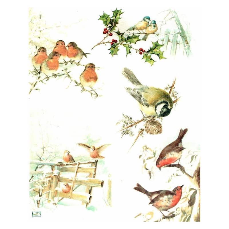 1papier de riz Oiseaux-R1019