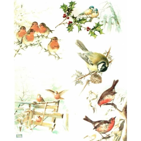 1papier de riz Oiseaux-R1019