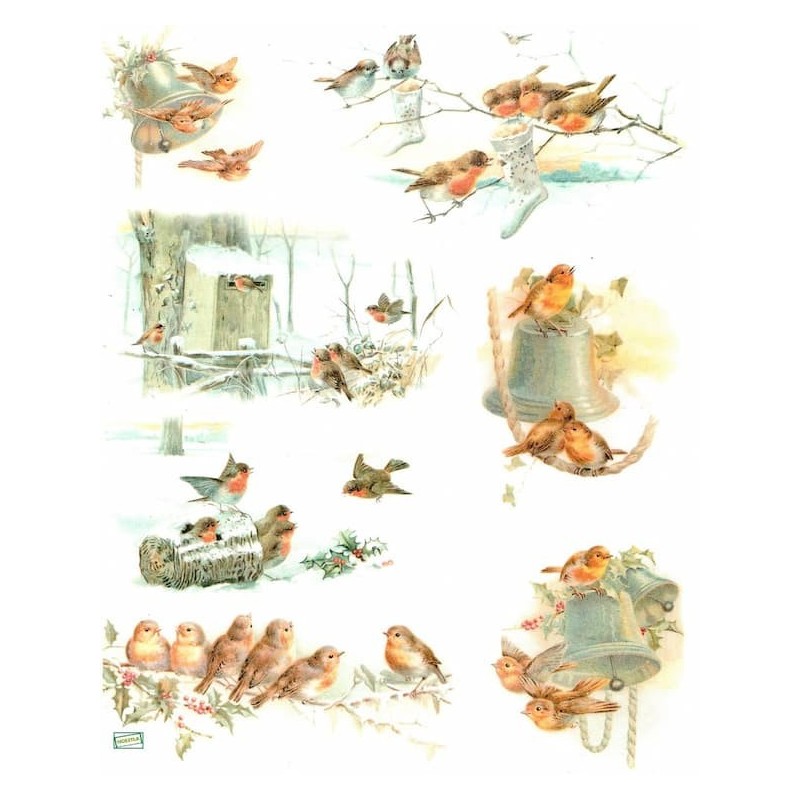 1papier de riz Oiseaux-R1020