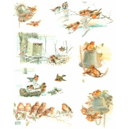 1papier de riz Oiseaux-R1020