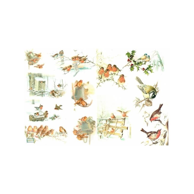 1papier de riz Oiseaux-R1021