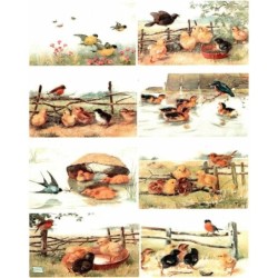 1papier de riz Poules-R1071