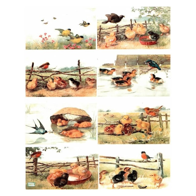 1papier de riz Poules-R1071