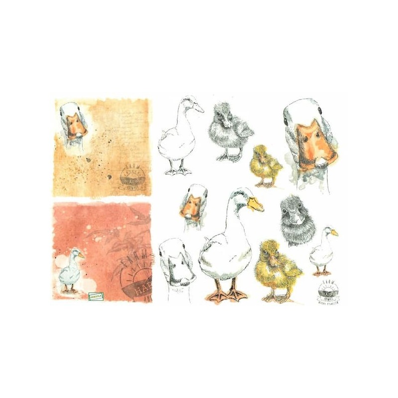 1papier de riz Les Oies-R1574