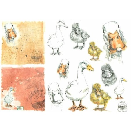 1papier de riz Les Oies-R1574
