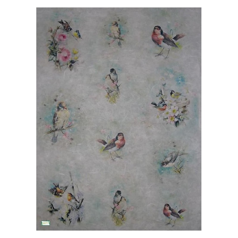 1papier riz Oiseaux-R516L