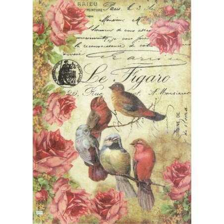 1papier de riz Oiseaux-STA4