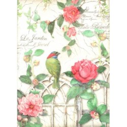 1papier de riz Oiseaux-STA5