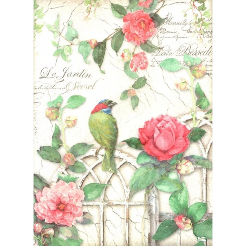 1papier de riz Oiseaux-STA5