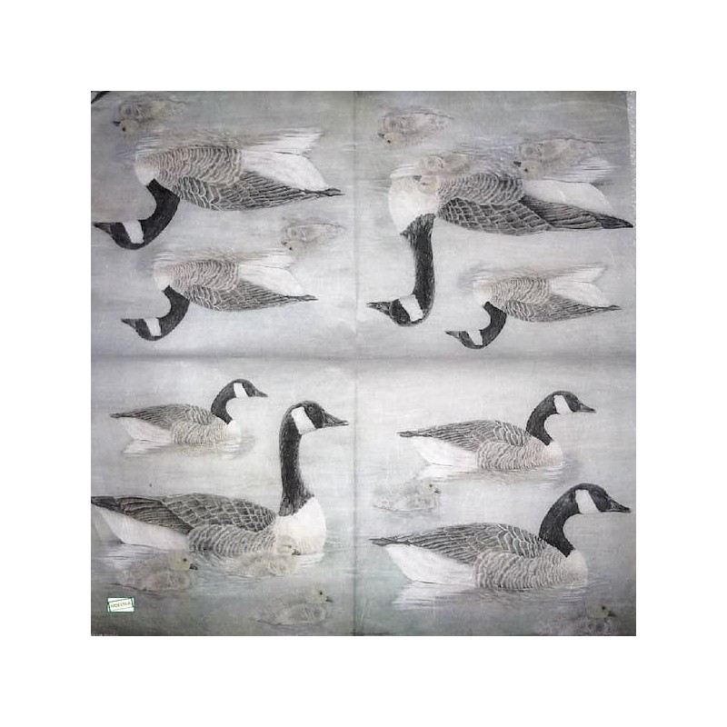 4papiers riz Canards-STA10