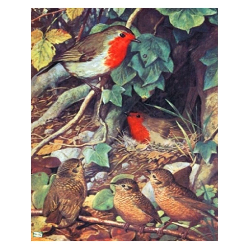 1papier riz Oiseaux-ZAN200G