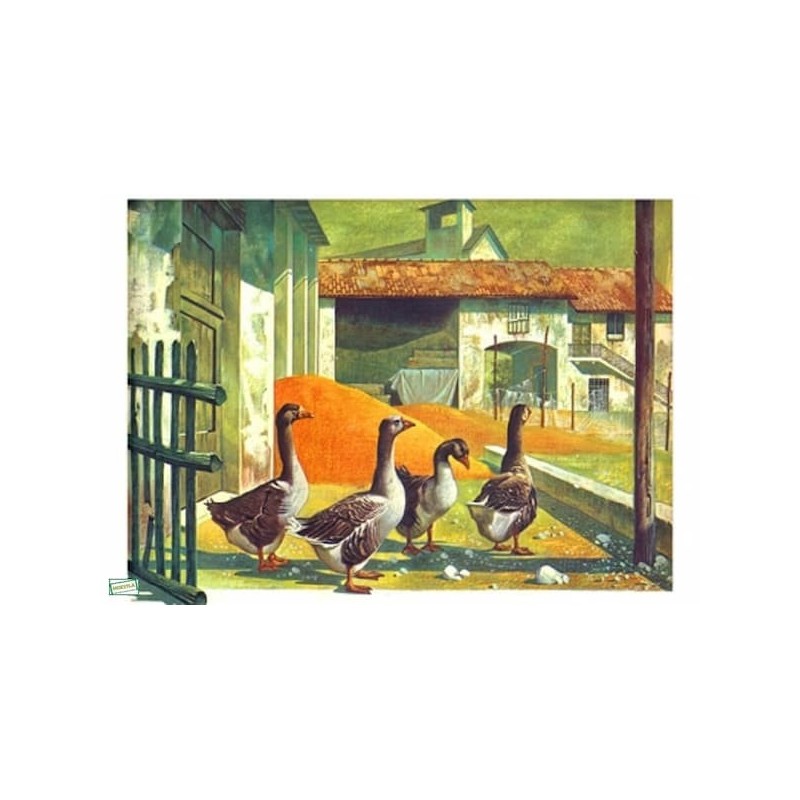 1papier riz Les Oies-ZAN207G