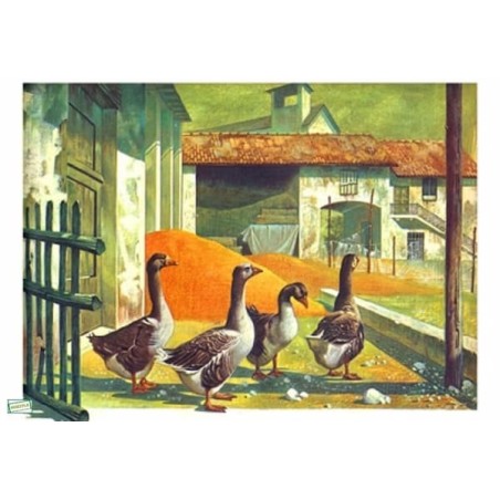 1papier riz Les Oies-ZAN207G