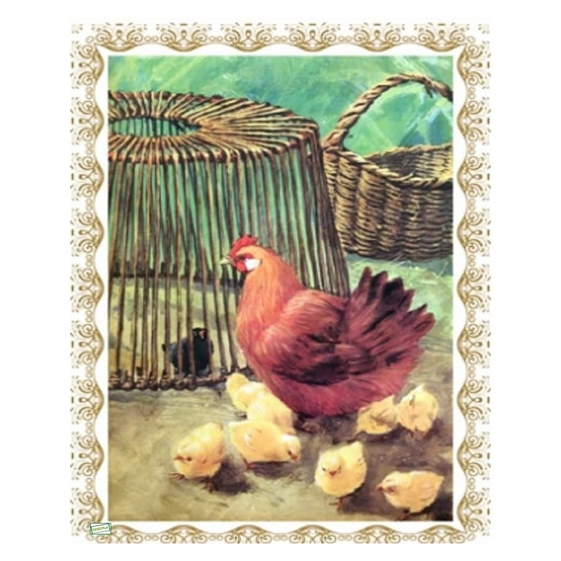 1papier riz Poule-ZAN253G