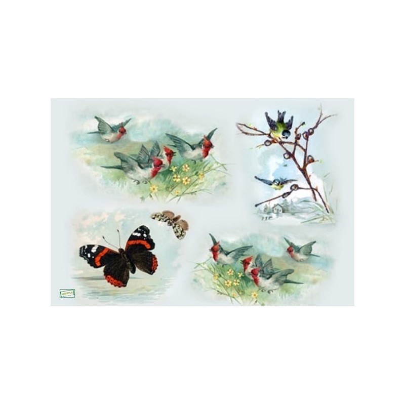 1papier riz Oiseaux-ZAN304G