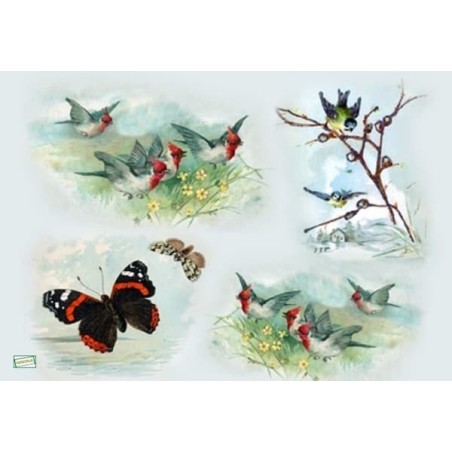 1papier riz Oiseaux-ZAN304G