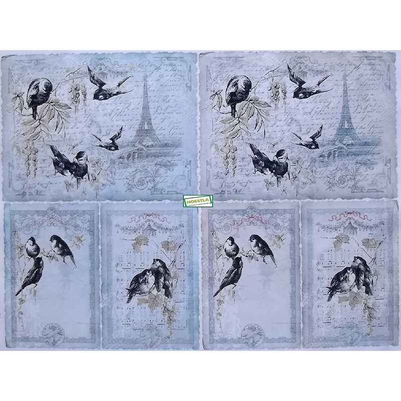 1papier découpage Oiseaux-D315