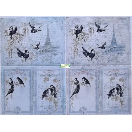1papier découpage Oiseaux-D315